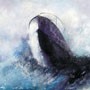 BILD 23